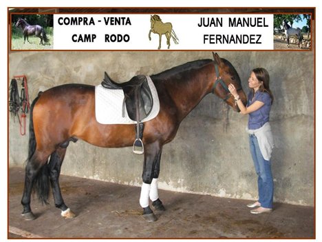 una gran estancia