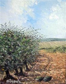 OLIVARES
