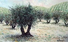 OLIVOS