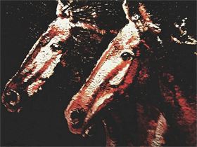 CABALLOS