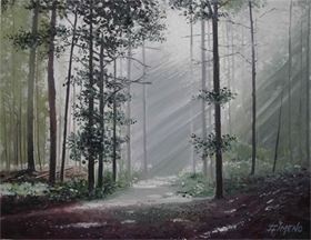 CONTRALUZ