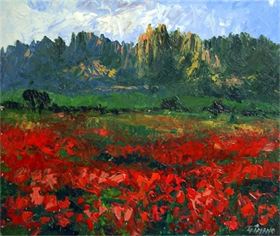 AMAPOLAS EN M,ONTSERRAT